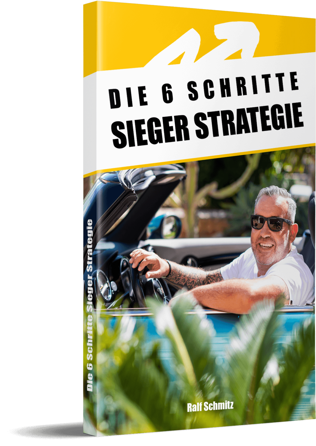 https://6schrittestrategie.stefangeiger.de/